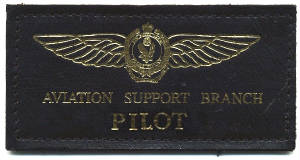 nswpserviceairsupporpilot1.jpg